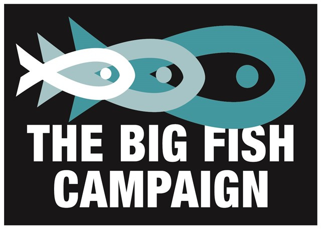 Big fish campaign